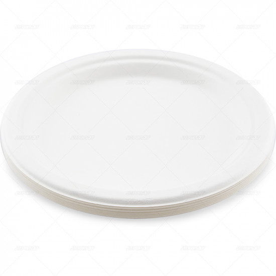 Plates Bagasse White 23cm 10pc/24